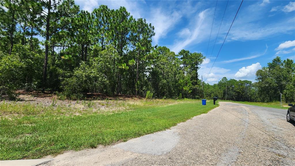 7760 N POCONO DRIVE, CITRUS SPRINGS, FL — photo 3 of 21