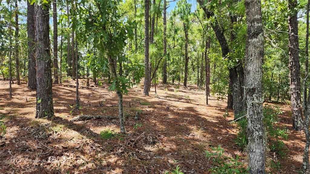 7760 N POCONO DRIVE, CITRUS SPRINGS, FL — photo 4 of 21