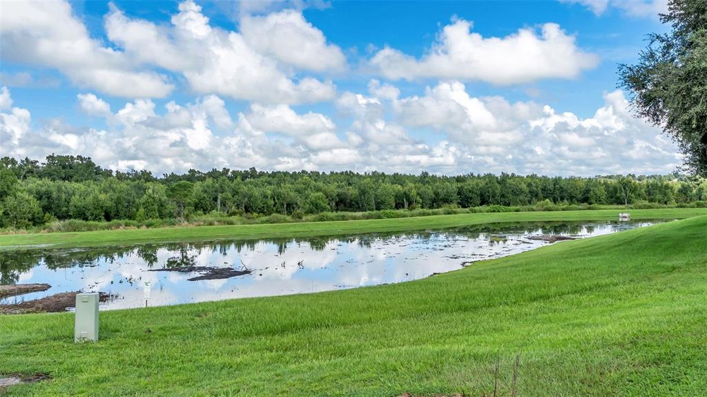 3950 SUNSET LAKE DRIVE, LAKELAND, FL — photo 4 of 87