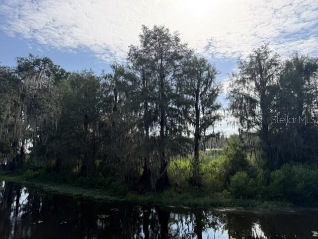 4218 E Lake Park DRIVE, HERNANDO, FL — photo 4 of 16