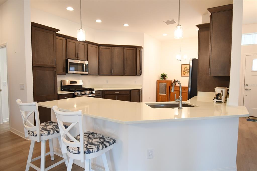 4157 COLLERETTE COURT, THE VILLAGES, FL — photo 4 of 27