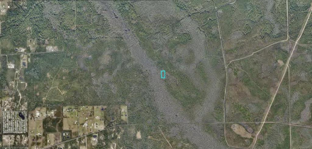 7128-02-12-0200 NO STREET, LAKE HELEN, FL — photo 3 of 3