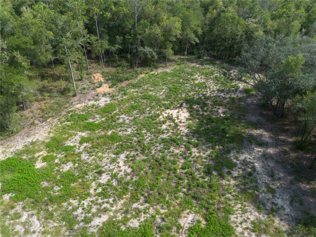 TBD NE 82ND PLACE, BRONSON, FL — photo 2 of 12