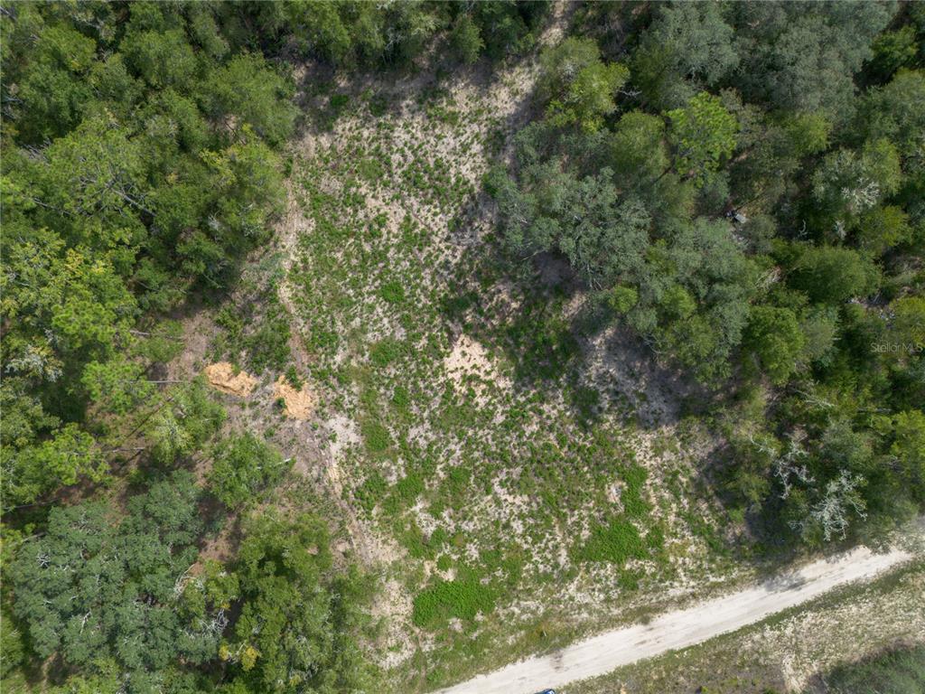 TBD NE 82ND PLACE, BRONSON, FL — photo 4 of 12