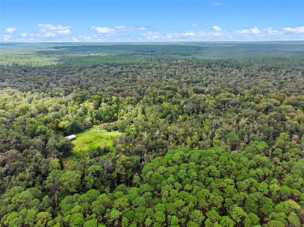An aerial view shows a small clearing with a structure surrounded by dense forest — NFS 73 / ALCO ROAD, ASTOR, FL