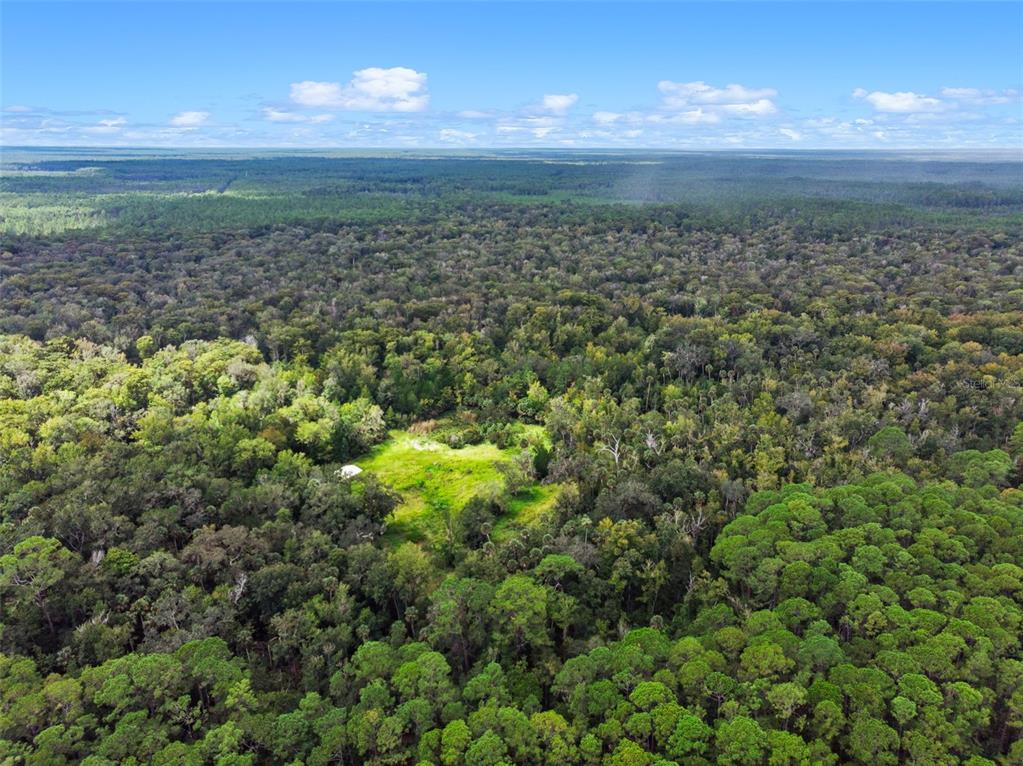 An aerial view shows a small clearing with a white structure surrounded by dense forest — NFS 73 / ALCO ROAD, ASTOR, FL