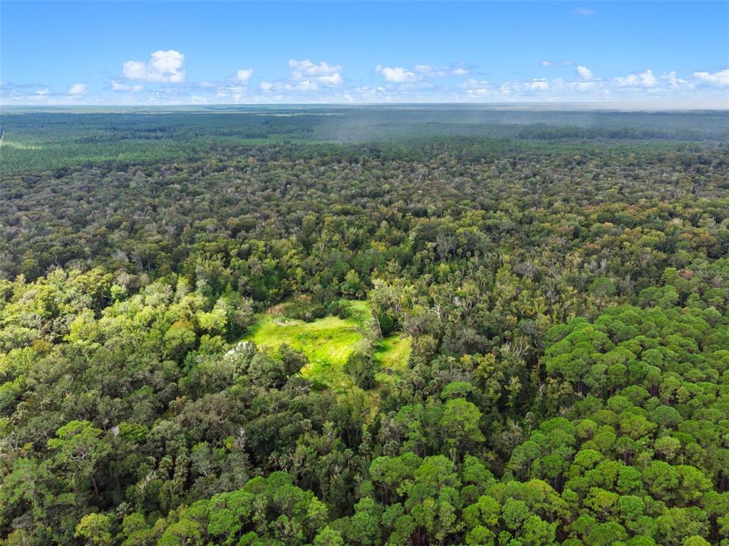 An aerial view shows a bright green clearing surrounded by dense forest and pine trees — NFS 73 / ALCO ROAD, ASTOR, FL