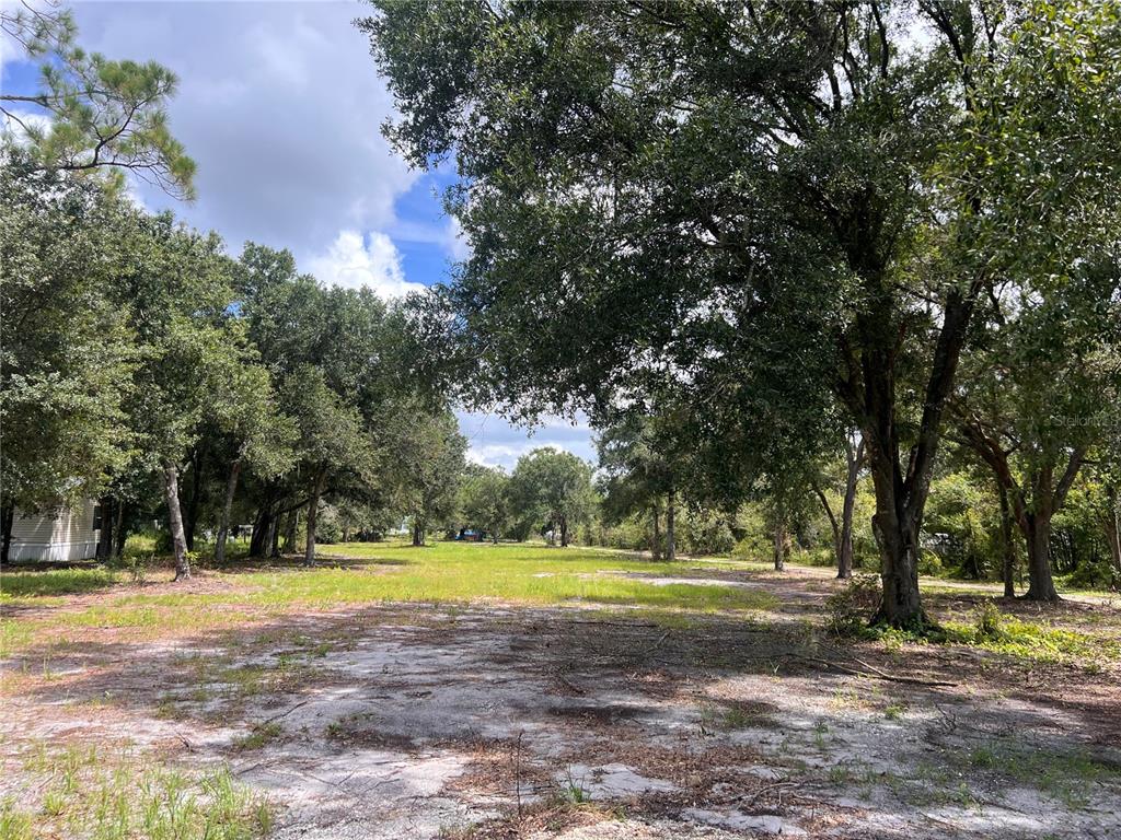 A large, grassy, partially wooded vacant lot with sandy soil under a partly cloudy sky — US HIGHWAY 98 W, FROSTPROOF, FL