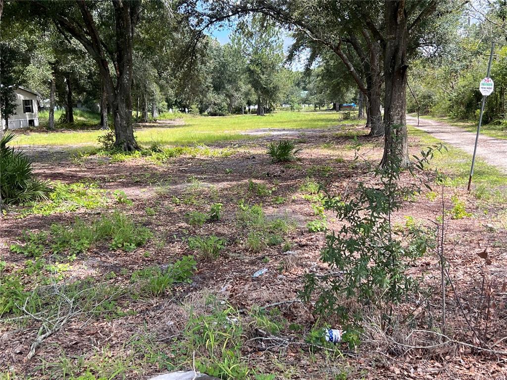 A grassy, partially wooded vacant lot with a dirt path and a small house nearby — US HIGHWAY 98 W, FROSTPROOF, FL