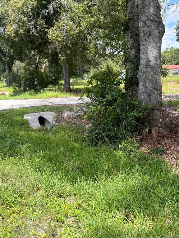 A concrete drainage culvert sits in a grassy area next to a large tree — US HIGHWAY 98 W, FROSTPROOF, FL