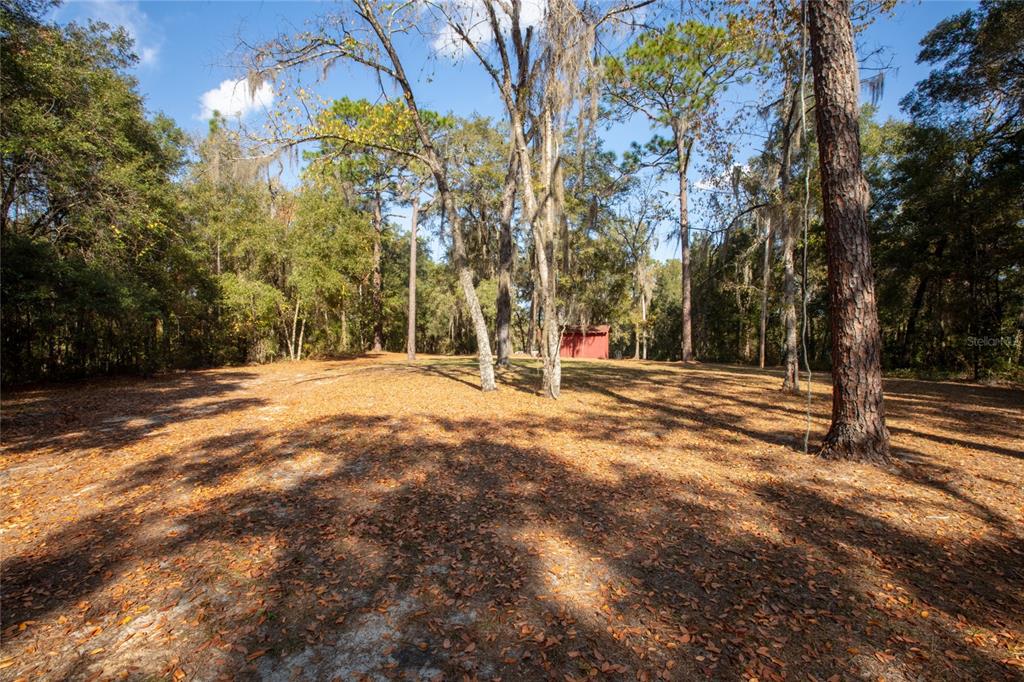 A large, leaf-covered yard features several tall trees and a small red shed in back — 730+732 STATE ROAD 26, MELROSE, FL