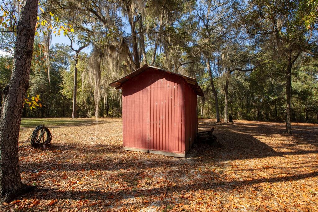 A red wooden shed stands in a wooded yard covered with fallen autumn leaves — 730+732 STATE ROAD 26, MELROSE, FL