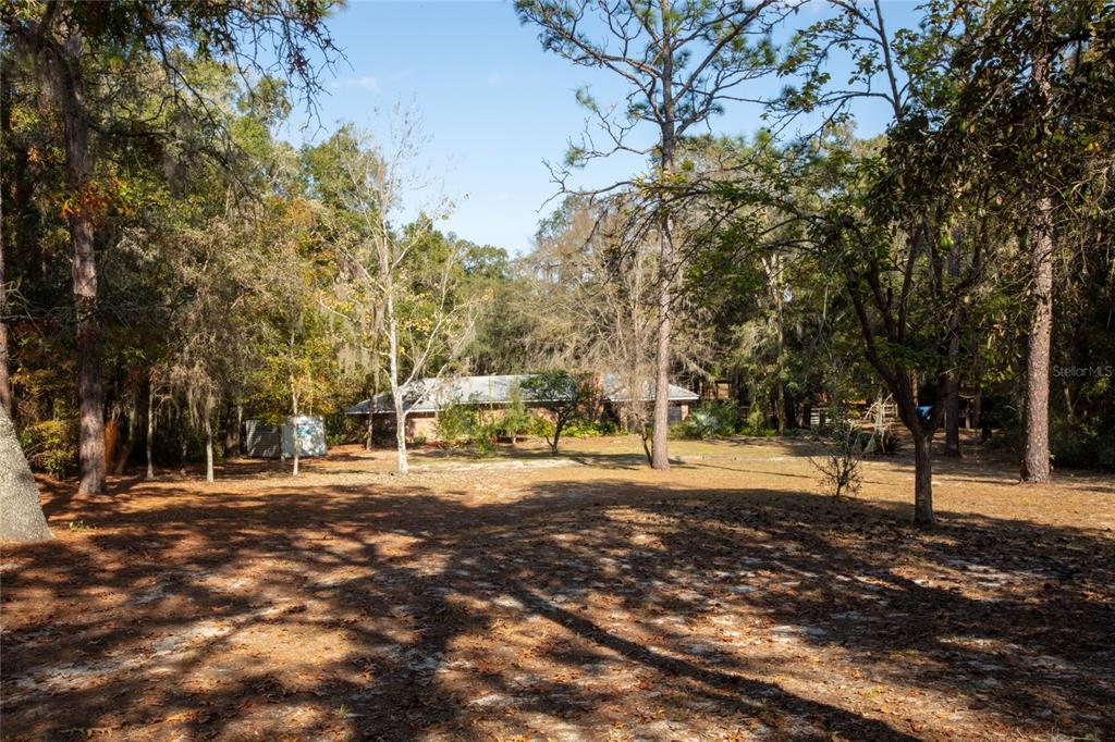 A single-story house sits in a wooded lot with a large, sandy, pine-needle-covered yard — 730+732 STATE ROAD 26, MELROSE, FL