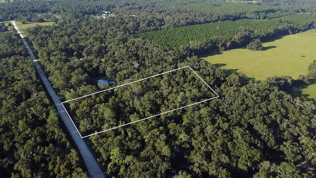 TBD NW 48TH , LOT 15 TERRACE, CHIEFLAND, FL — photo 4 of 5
