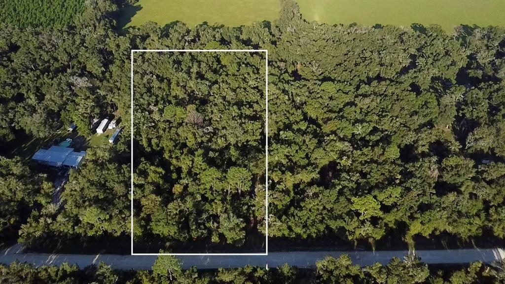 TBD NW 48TH , LOT 15 TERRACE, CHIEFLAND, FL — photo 5 of 5