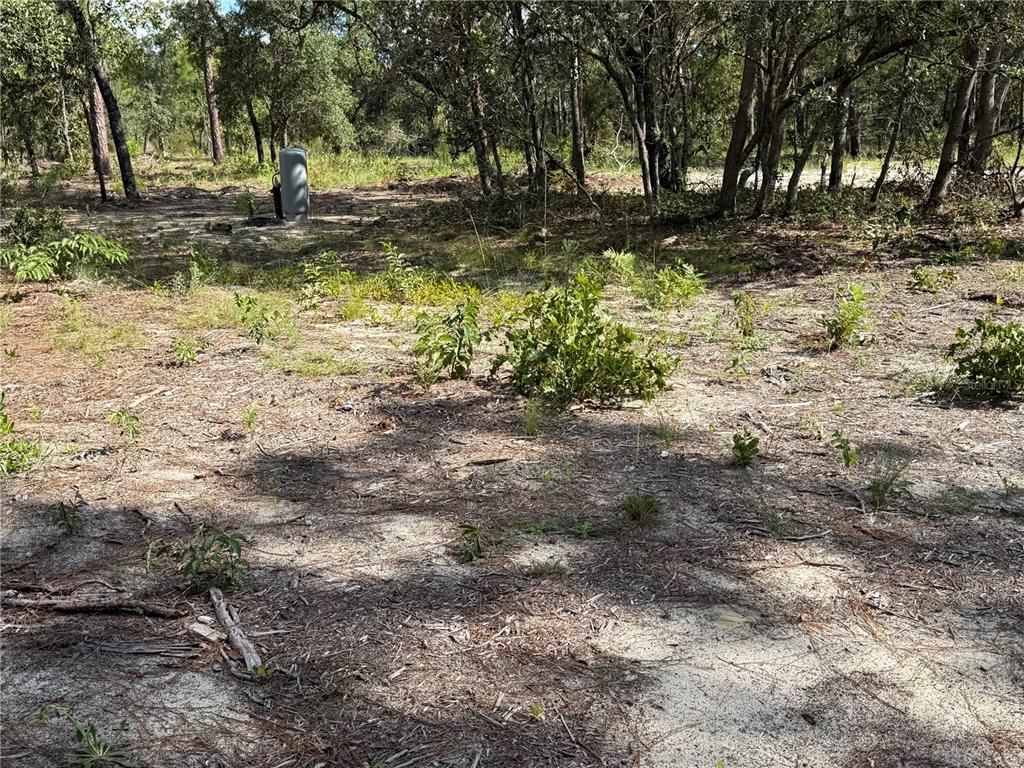 164 MELROSE LANDING BOULEVARD, HAWTHORNE, FL — photo 2 of 6