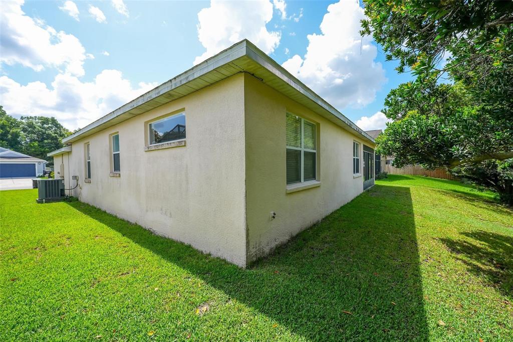 The exterior of a beige stucco house features a lawn and a large tree — 2428 WALNUT HEIGHTS ROAD, APOPKA, FL