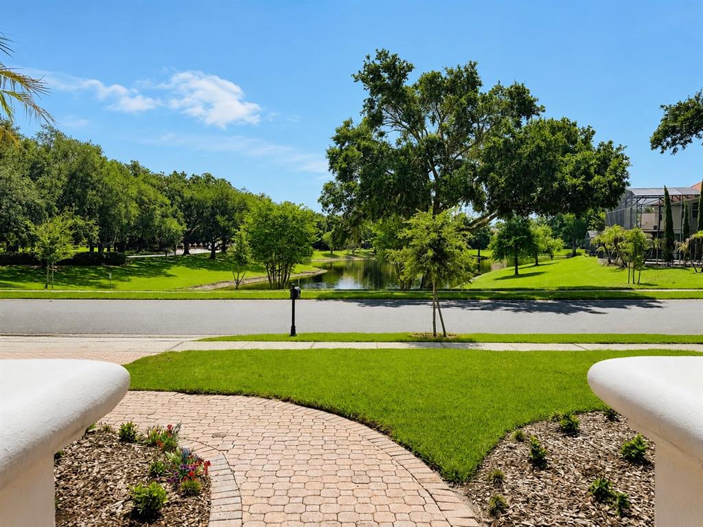 A view from a paved walkway looking across a street toward a pond and trees — 8814 PHILLIPS BAY DRIVE, ORLANDO, FL