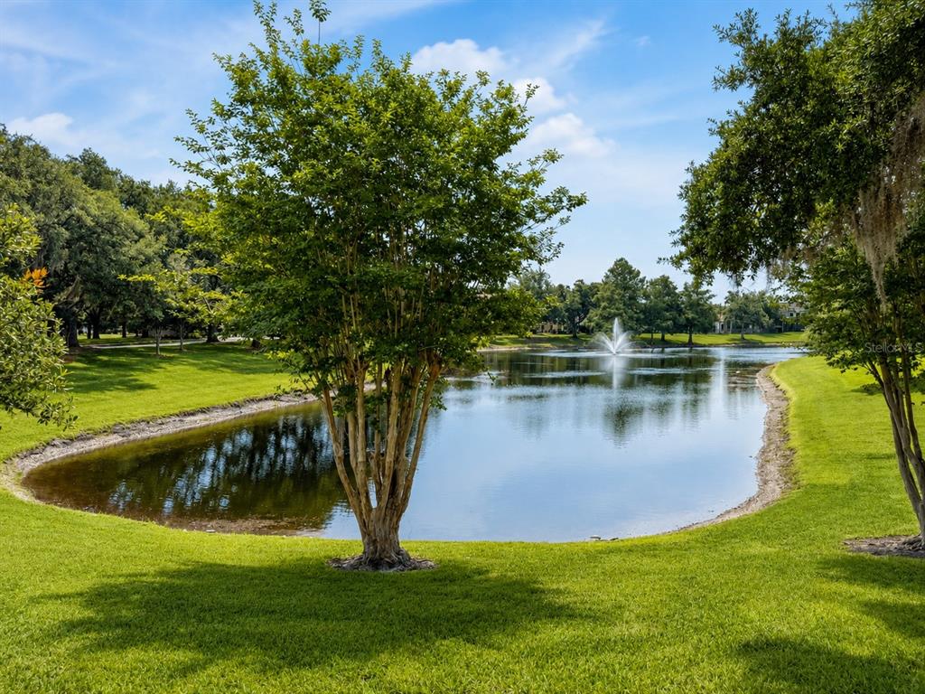 A grassy lawn surrounds a pond with a fountain and mature trees under a blue sky — 8814 PHILLIPS BAY DRIVE, ORLANDO, FL