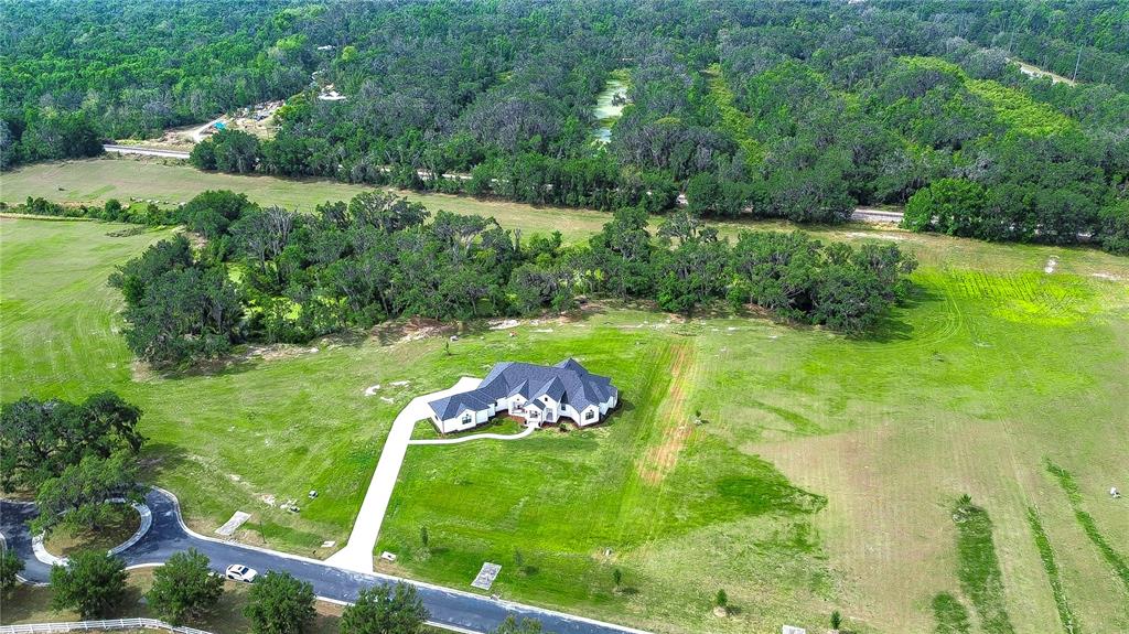 An aerial view shows a large house with a dark roof situated on a grassy lot — 111 ALAFIA ESTATES LANE, LITHIA, FL