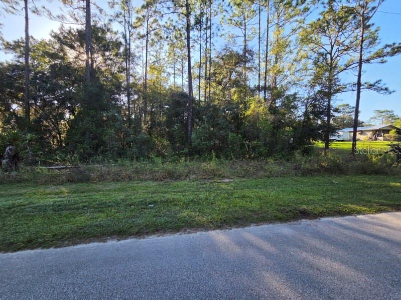 SW 176TH AVE, DUNNELLON, FL — photo 3 of 5