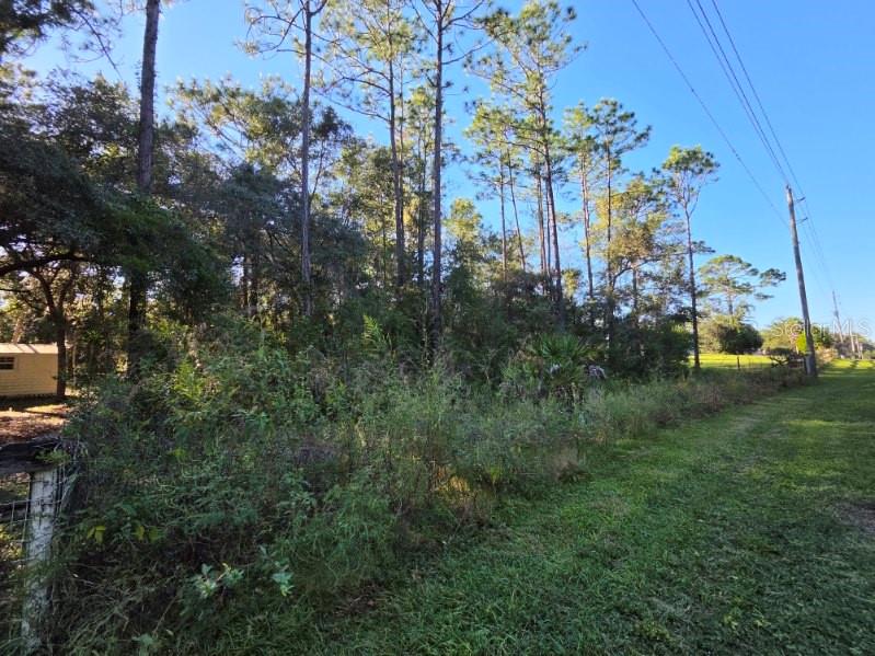SW 176TH AVE, DUNNELLON, FL — photo 4 of 5