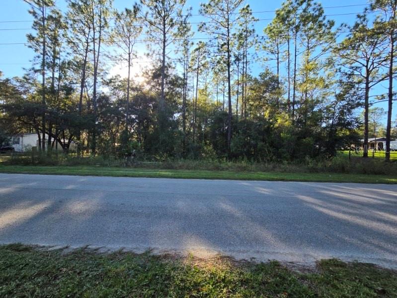 SW 176TH AVE, DUNNELLON, FL — photo 5 of 5