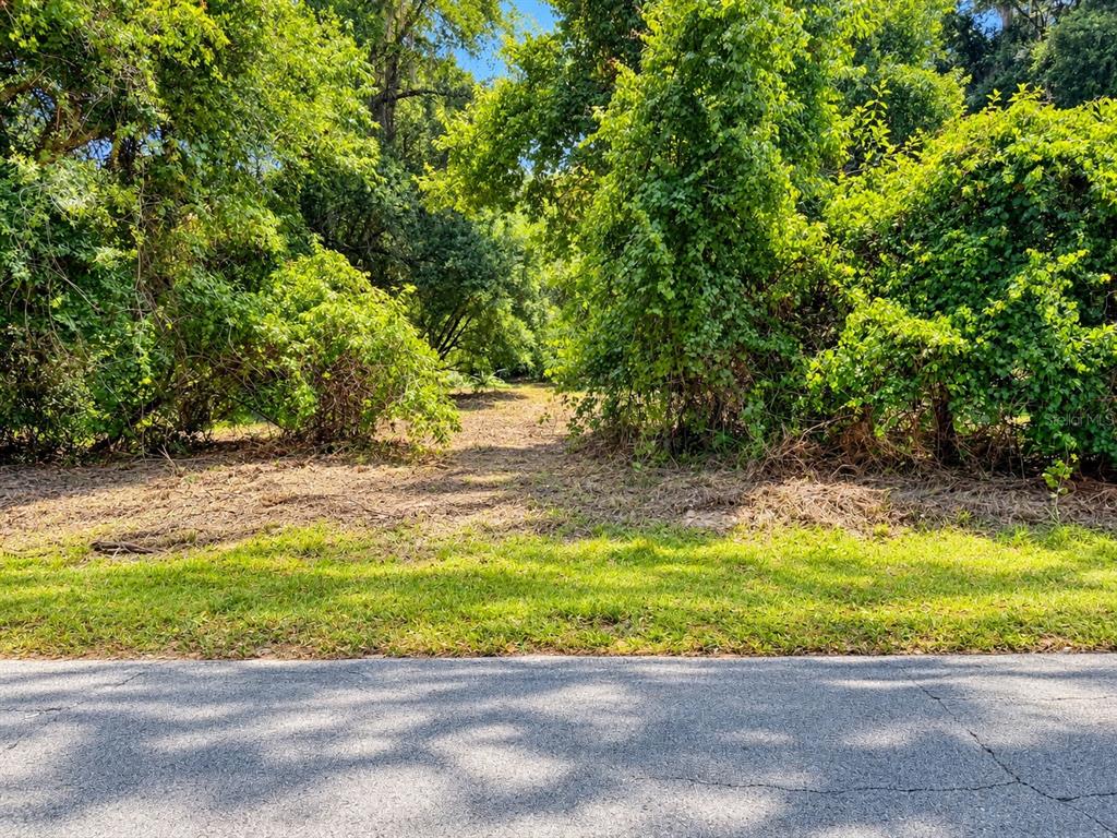 26714 BLOOMFIELD AVENUE, YALAHA, FL — photo 2 of 9