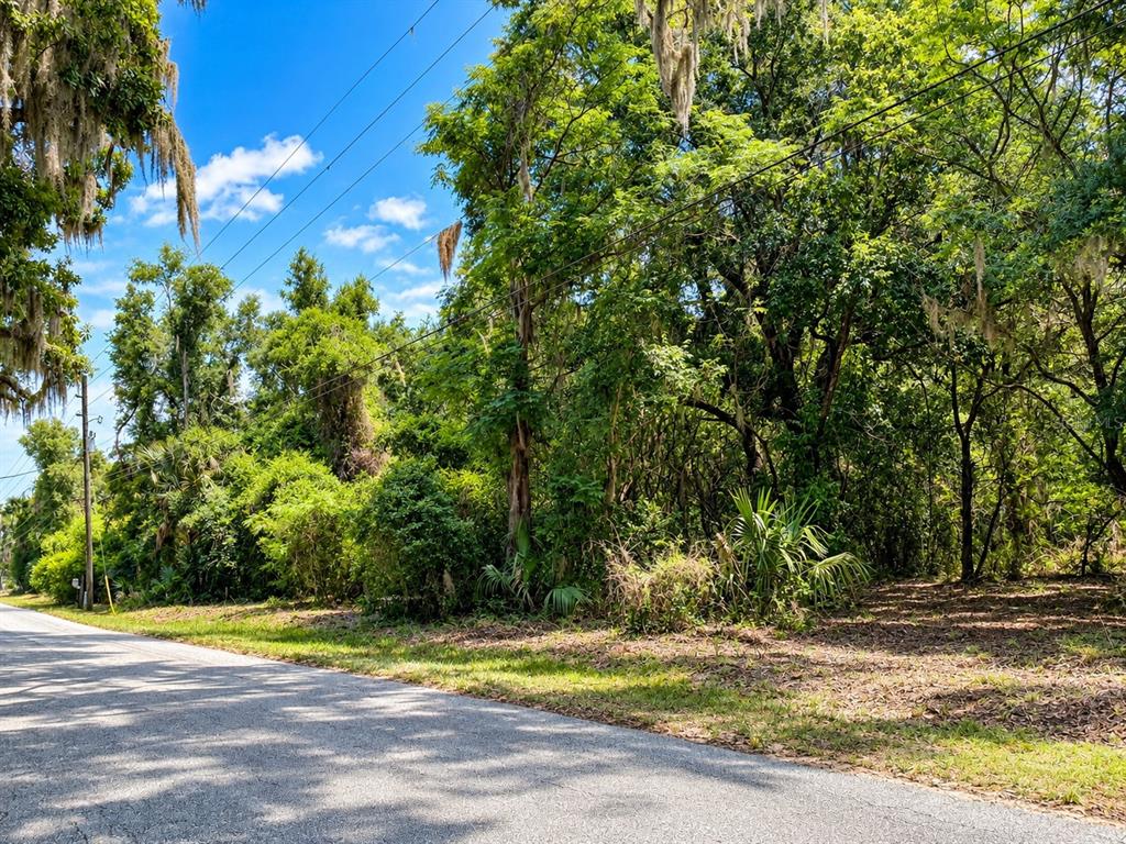 26714 BLOOMFIELD AVENUE, YALAHA, FL — photo 5 of 9