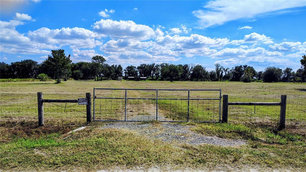 12721 FOX WAY TRAIL, RIVERVIEW, FL — photo 4 of 5