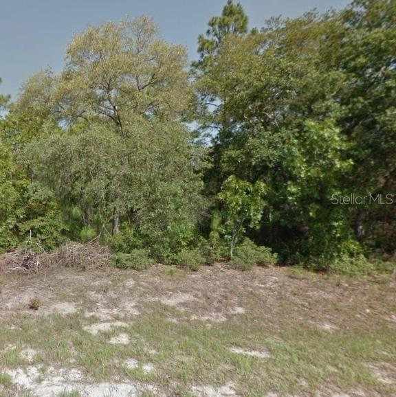 A vacant, grassy lot with sandy soil is bordered by a dense line of trees — 9052 N BURMANY WAY, CITRUS SPRINGS, FL