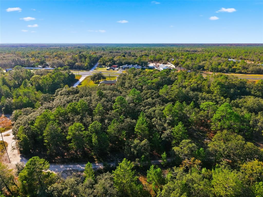An aerial view shows a densely wooded lot adjacent to a paved road and buildings — 11254 COMMERCIAL WAY, WEEKI WACHEE, FL