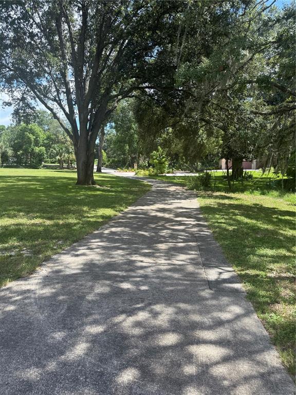 A paved driveway winds through a grassy yard shaded by large, mature oak trees — PARK RIDGE GOTHA ROAD, WINDERMERE, FL