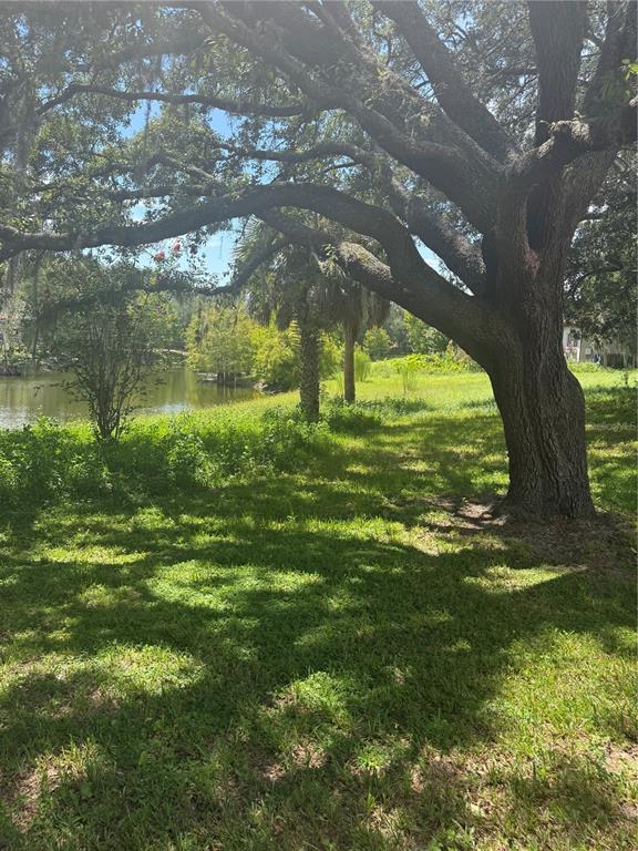 A large oak tree shades a grassy lawn overlooking a pond on a sunny day — PARK RIDGE GOTHA ROAD, WINDERMERE, FL