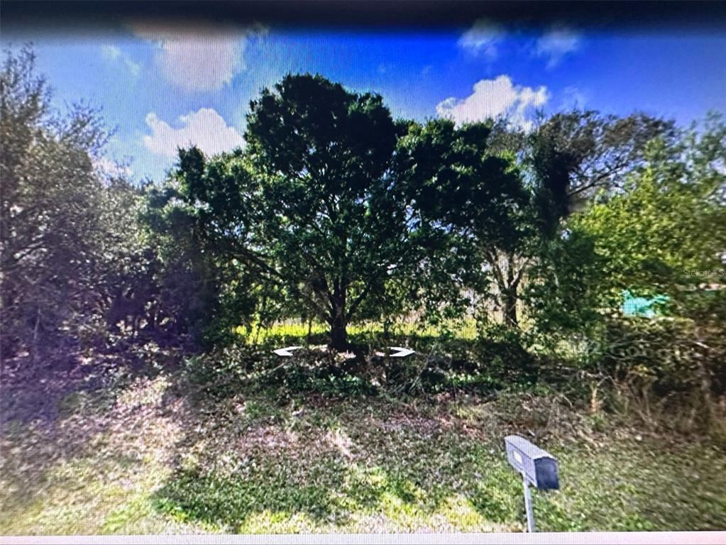 A large tree stands on a grassy, wooded lot with a mailbox in the foreground — 11335 EIGHTH AVENUE, PUNTA GORDA, FL