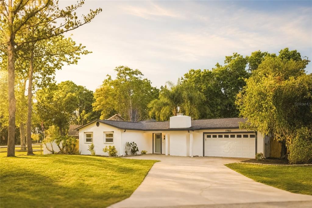 A single-story white house with a two-car garage and a concrete driveway — 17002 PAULA LANE, LUTZ, FL