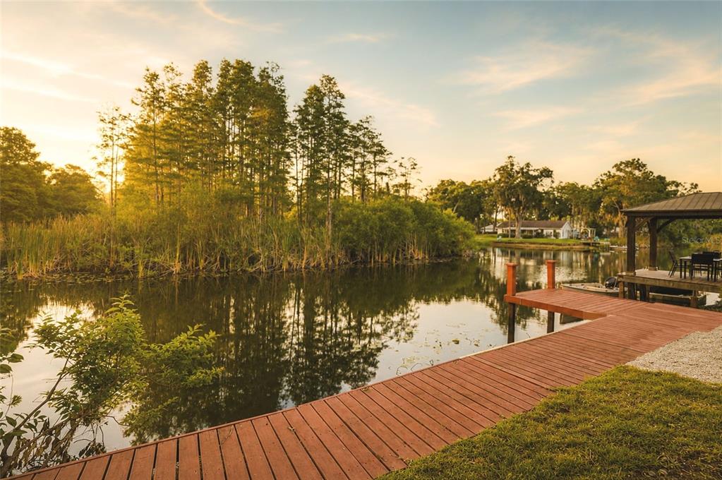 A wooden dock extends into a calm lake surrounded by trees and tall grasses — 17002 PAULA LANE, LUTZ, FL