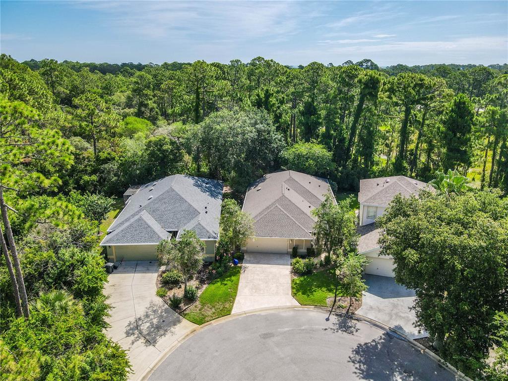 An aerial view shows three houses with shingled roofs situated along a cul-de-sac — 44 CROSSTIE COURT, PALM COAST, FL
