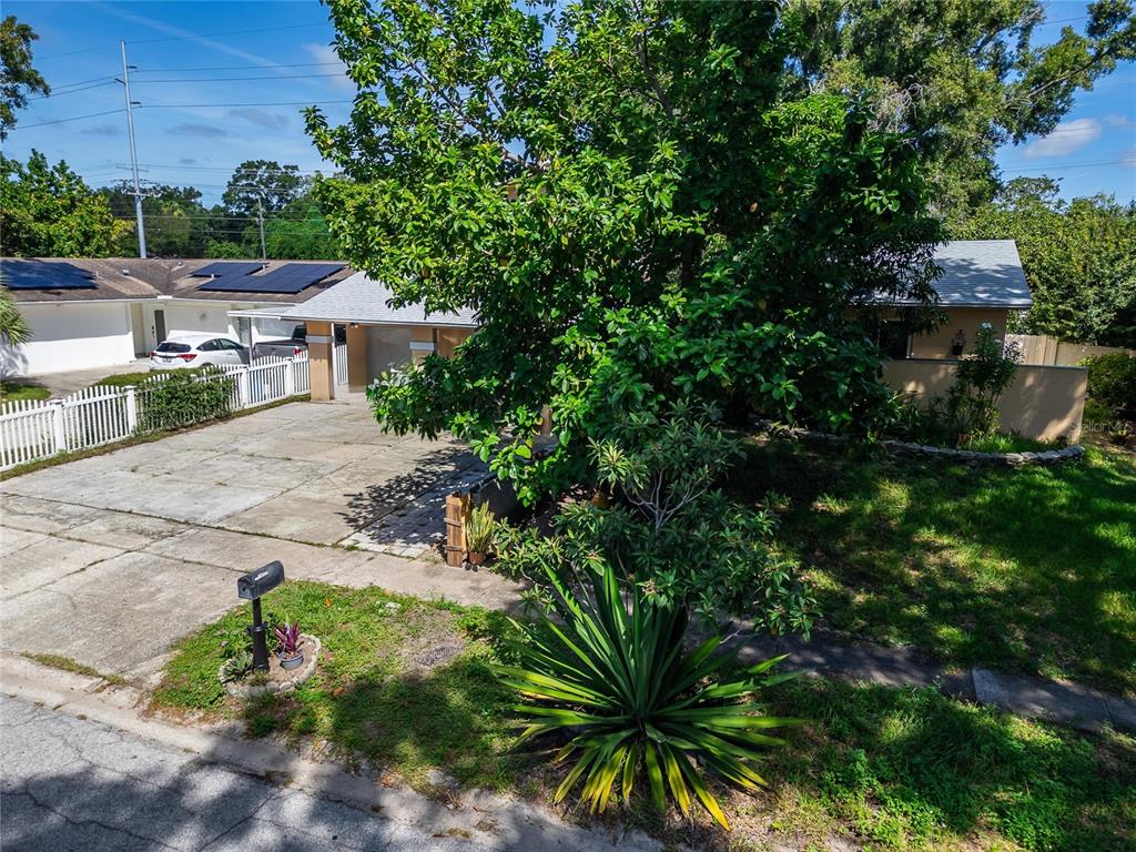 7003 SUMMERBRIDGE DRIVE, TAMPA, FL — photo 3 of 16