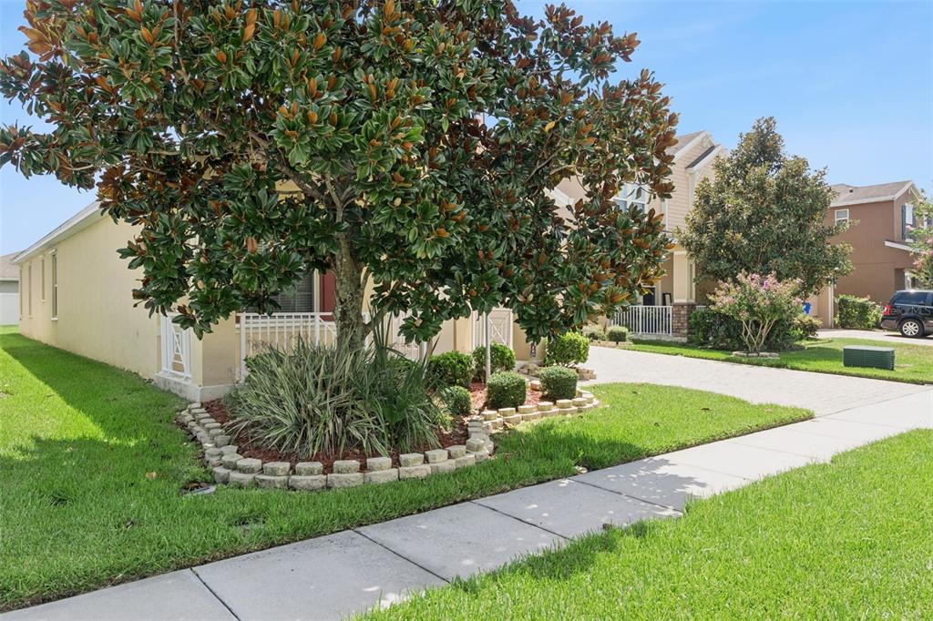 A large magnolia tree stands in the front yard of a tan suburban house — 1543 CATERPILLAR STREET, ST CLOUD, FL