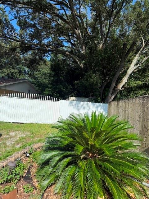 806 PROCLAMATION DRIVE, TAMPA, FL — photo 3 of 30