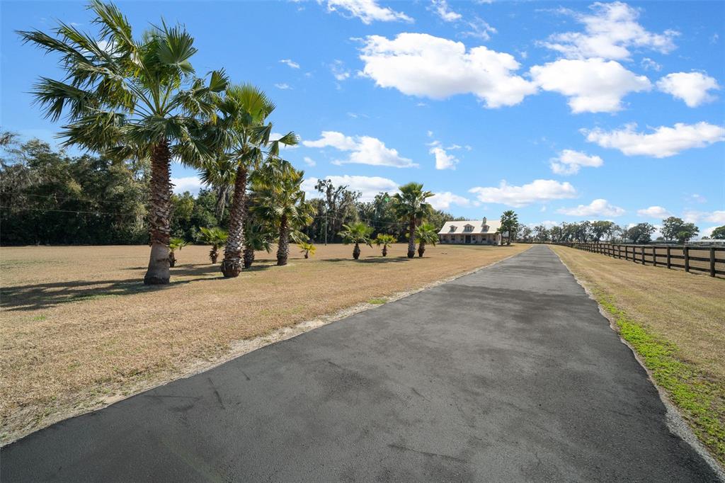 A long asphalt driveway leads toward a house surrounded by palm trees and pastures — 2198 W HIGHWAY 329, CITRA, FL
