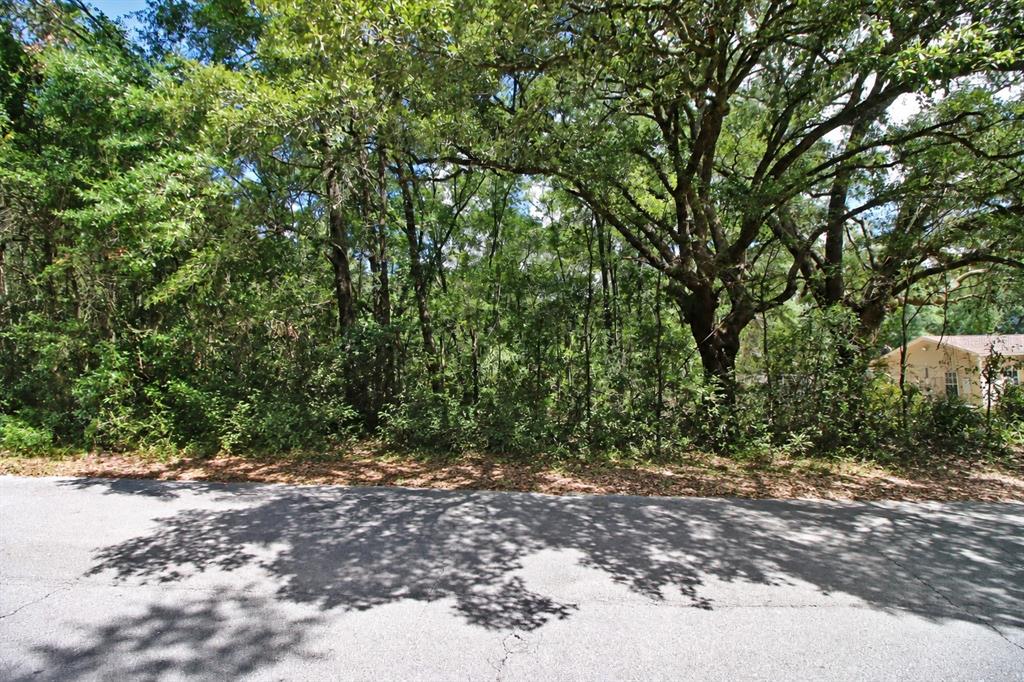 WASHINGTON STREET, MILTON, FL — photo 2 of 14