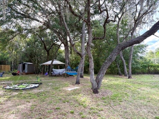 A backyard features a shed, a gazebo with a hammock, and large trees on grass — 9825 LEGUNA STREET, NEW PORT RICHEY, FL