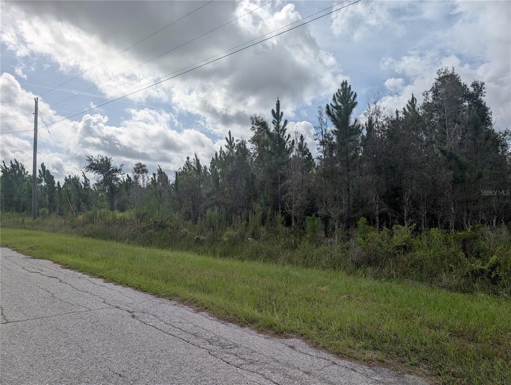 A paved road runs alongside a grassy area leading to a dense stand of trees — MEADOW LARK BOULEVARD, LAKE WALES, FL