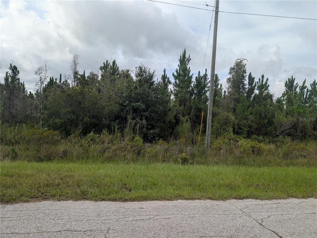 A view of a wooded, undeveloped lot from the edge of a paved road — MEADOW LARK BOULEVARD, LAKE WALES, FL