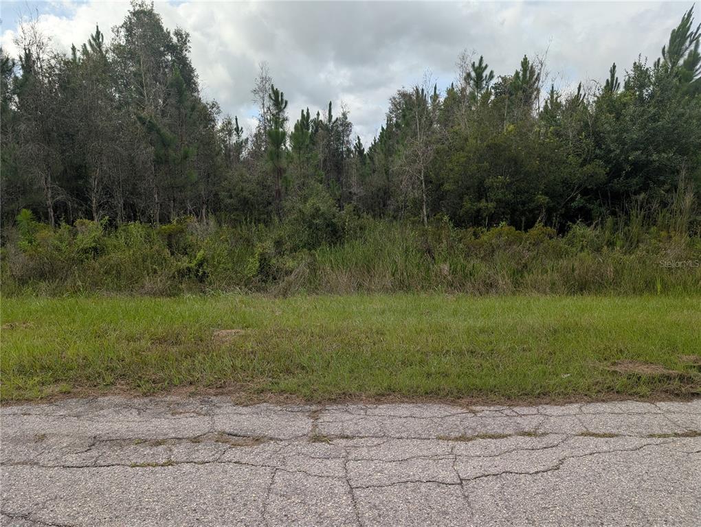 A view of a vacant, wooded lot from an adjacent cracked asphalt road — MEADOW LARK BOULEVARD, LAKE WALES, FL