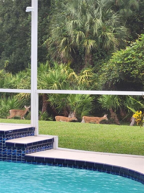 19150 DOVE CREEK DRIVE, TAMPA, FL — photo 2 of 30