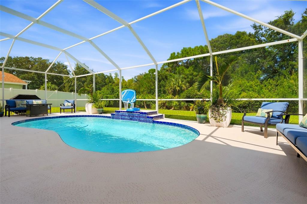 19150 DOVE CREEK DRIVE, TAMPA, FL — photo 3 of 30