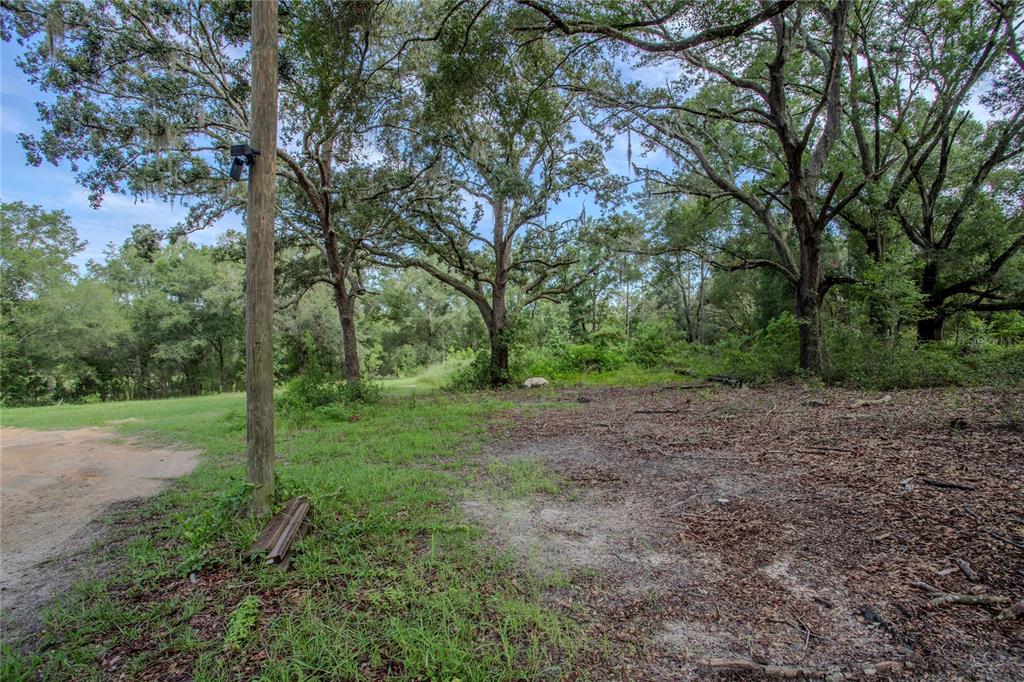 A dirt and grass lot features several large oak trees and a wooden utility pole — 1776 ANDERSON LANE, LADY LAKE, FL